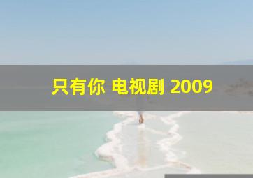 只有你 电视剧 2009